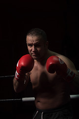 Image showing professional kickboxer in the training ring