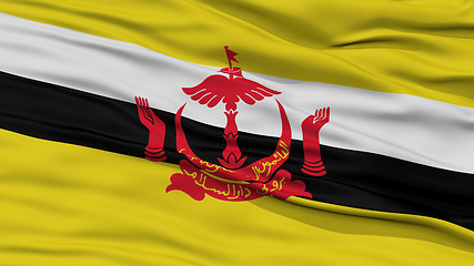 Image showing Closeup Brunei Flag