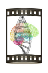 Image showing DNA and heart medical concept. 3d illustration. The film strip.