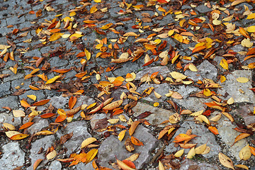 Image showing Road paved with stones and bright autumn leaves