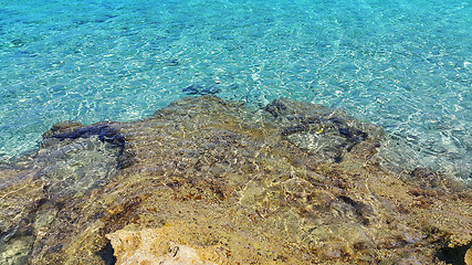 Image showing Bright turquoise sea water and coastal rocks