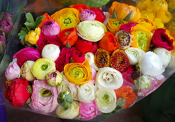 Image showing Bouquet of ranunculus colorful flowers