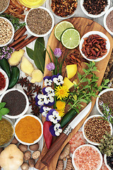 Image showing Edible Flowers and Herb and Spice Seasoning