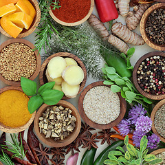 Image showing Spice and Herb Selection