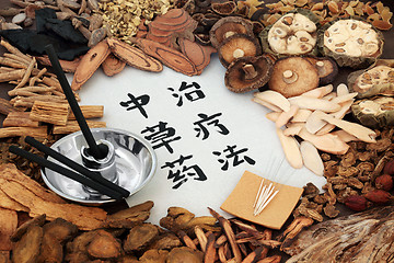 Image showing Chinese Herbal Therapy