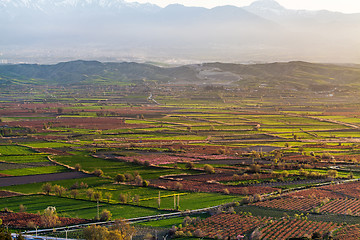 Image showing Beutiful sunset over colored agricultiral fields