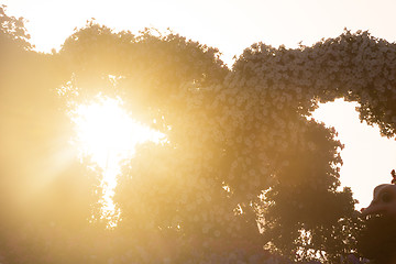 Image showing Dubai miracle garden