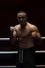 Image showing professional kickboxer in the training ring