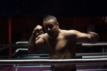 Image showing professional kickboxer in the training ring