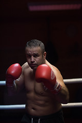 Image showing professional kickboxer in the training ring