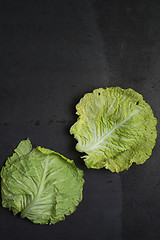 Image showing Cabbage leaves background