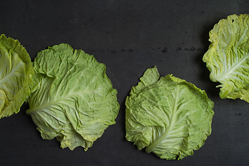 Image showing Cabbage leaves background