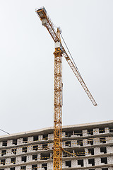Image showing Crane is used in the construction
