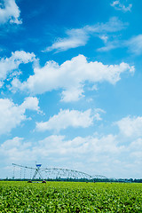 Image showing beet field watering machine