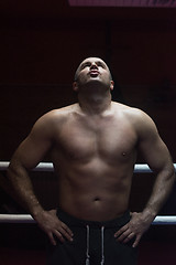 Image showing portrait of muscular professional kickboxer