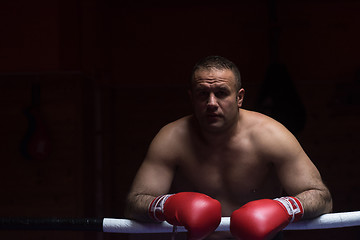 Image showing portrait of muscular professional kickboxer