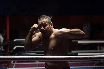 Image showing professional kickboxer in the training ring