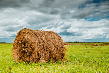 Image showing Straw bales on farmland