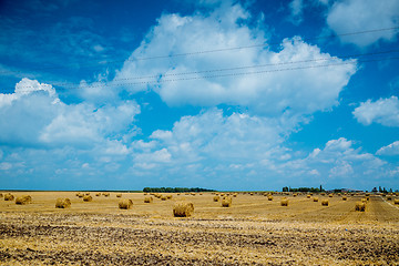 Image showing Straw bales on farmland