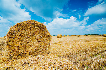 Image showing Straw bales on farmland