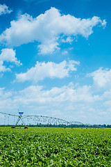 Image showing beet field watering machine