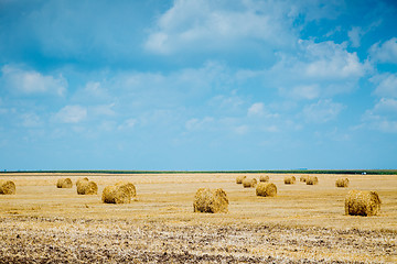 Image showing Straw bales on farmland