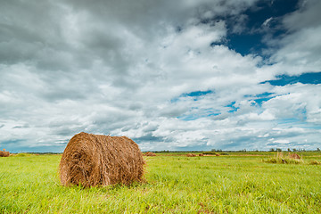 Image showing Straw bales on farmland