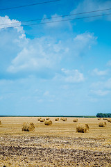 Image showing Straw bales on farmland