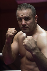 Image showing professional kickboxer in the training ring