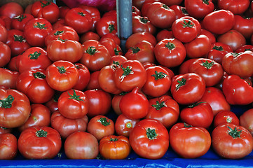 Image showing fresh tomatoes vegetables background