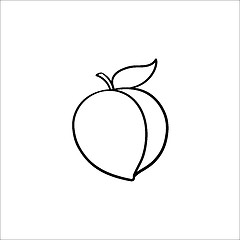 Image showing Plum hand drawn sketch icon.