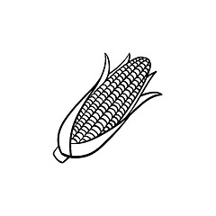 Image showing Corn cob hand drawn sketch icon.