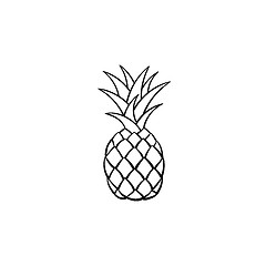 Image showing Pineapple hand drawn sketch icon.