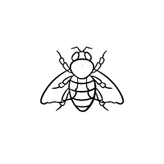 Image showing Fly hand drawn sketch icon.