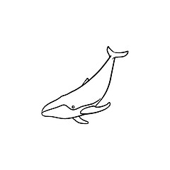 Image showing Whale hand drawn sketch icon.