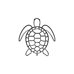 Image showing Turtle hand drawn sketch icon.