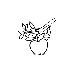 Image showing Apple harvest hand drawn sketch icon.