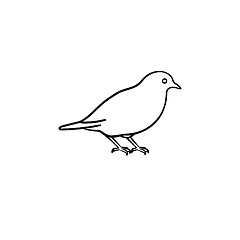 Image showing Bird hand drawn sketch icon.