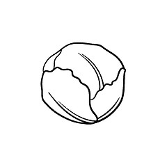 Image showing White cabbage hand drawn sketch icon.