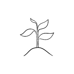 Image showing Sprout of plant hand drawn sketch icon.