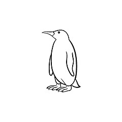 Image showing Penguin hand drawn sketch icon.