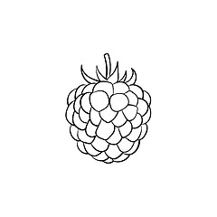 Image showing Blackberry hand drawn sketch icon.