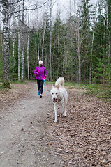 Image showing Woman with a dog on a run in the park