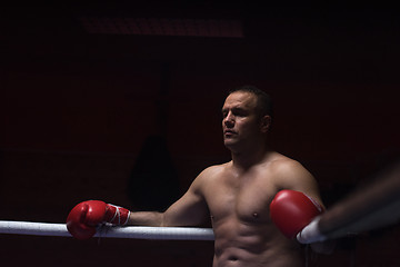 Image showing kick boxer resting on the ropes in the corner