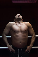 Image showing portrait of muscular professional kickboxer