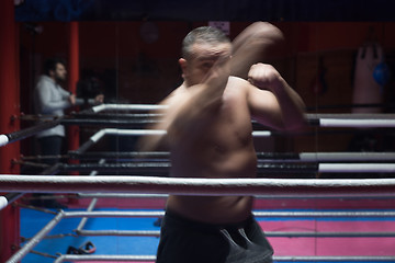 Image showing professional kickboxer in the training ring