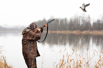 Image showing hunter shooting to the flying duck