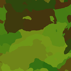 Image showing Camouflage pattern