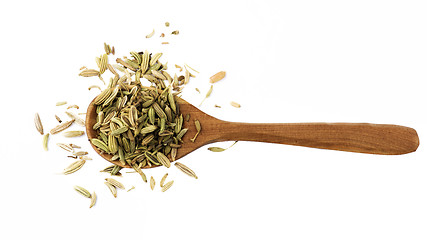 Image showing Fennel in Wooden Spoon