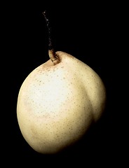 Image showing White Pear Nashi